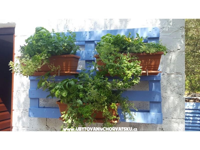 Appartements Maris – Ferienwohnung Insel Pasman, Kroatien – Foto 16