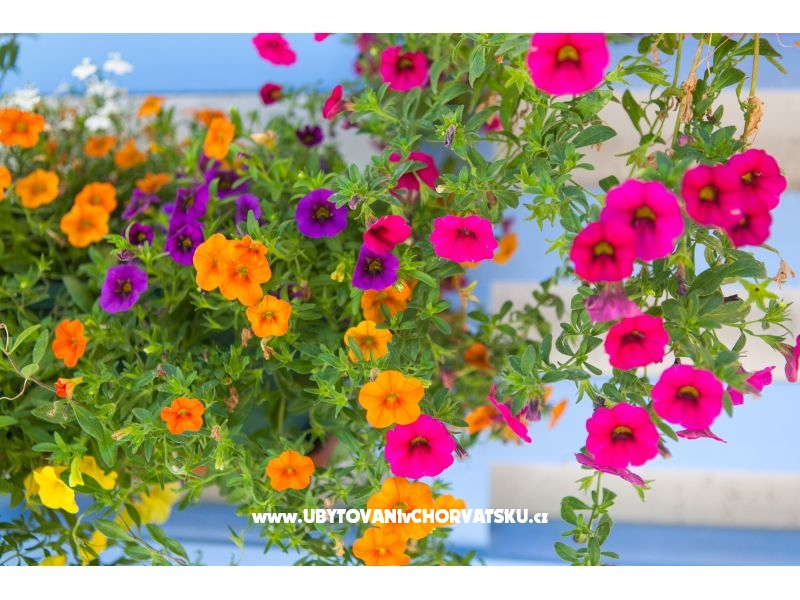 Appartements Maris – Ferienwohnung Insel Pasman, Kroatien – Foto 2