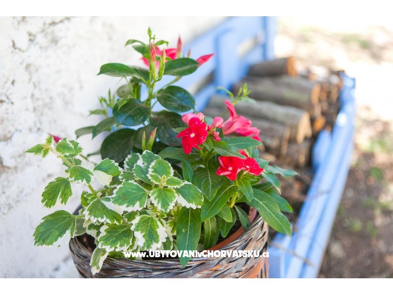 Appartements Maris – Ferienwohnung Insel Pasman, Kroatien – Foto 7