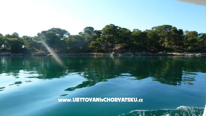 Appartements na moru – Ferienwohnung Insel Pasman, Kroatien – Foto 7