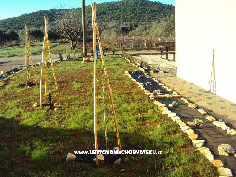 Appartements Pašman – Ferienwohnung Insel Pasman, Kroatien – Foto 16