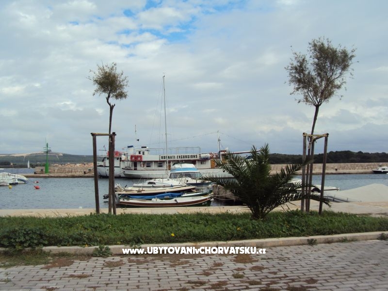 Appartements Pašman – Ferienwohnung Insel Pasman, Kroatien – Foto 17