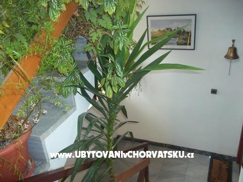 Ferienwohnungen Dragica Pedisic – Ferienwohnung Insel Pasman, Kroatien – Foto 9