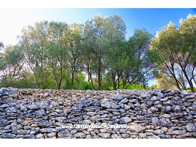 Ferienwohnungen Dragica Pedisic – Ferienwohnung Insel Pasman, Kroatien – Foto 11