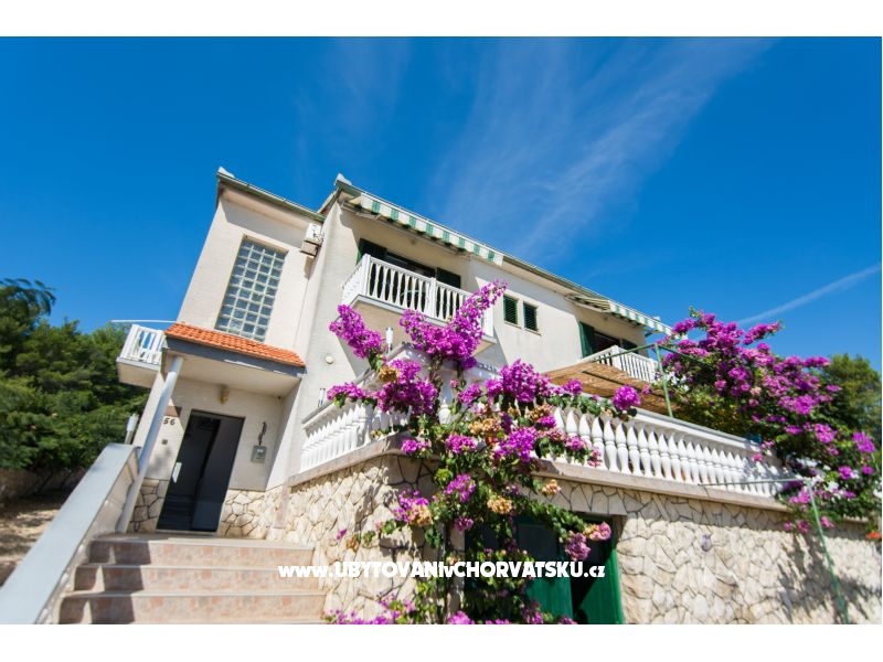 Ferienwohnungen Dragica Pedisic – Ferienwohnung Insel Pasman, Kroatien – Foto 2