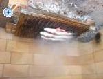 Appartements drelac - ostrov Paman Croatie
