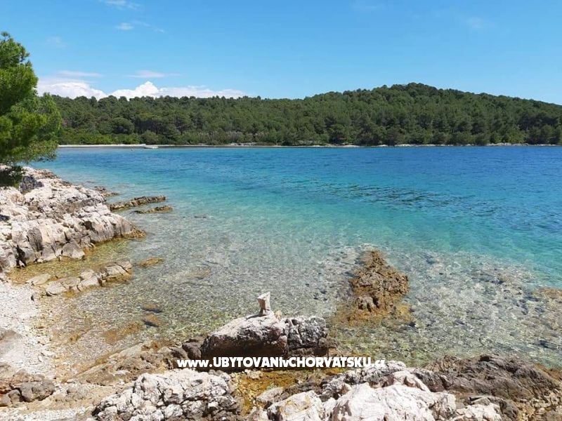 Ferienwohnungen More – Ferienwohnung Insel Pasman, Kroatien – Foto 15
