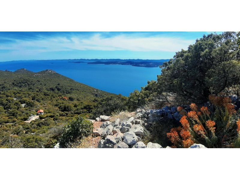 Ferienwohnungen More – Ferienwohnung Insel Pasman, Kroatien – Foto 18