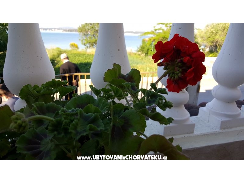 Ferienwohnungen Nena – Ferienwohnung Insel Pasman, Kroatien – Foto 2