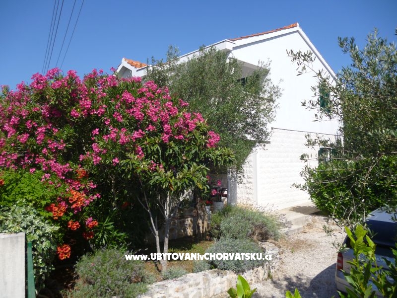 Ferienwohnungen Suzana – Ferienwohnung Insel Pasman, Kroatien – Foto 1