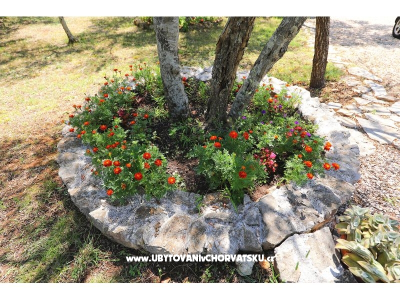 Ferienwohnungen Suzana – Ferienwohnung Insel Pasman, Kroatien – Foto 18