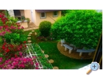 Appartements Villa Esperanza - ostrov Paman Kroatien