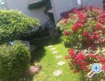 Apartmaji Villa Esperanza - ostrov Paman Hrvaka