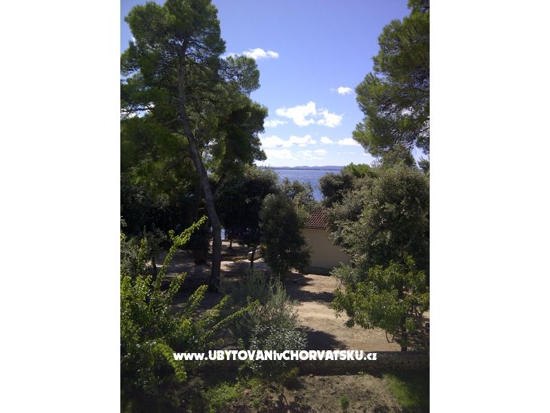 Anas apartments – Ferienwohnung Petrcane, Kroatien – Foto 11