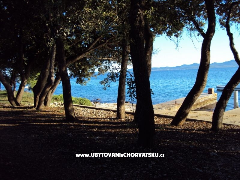 Apartment Puhalovic Emil – Ferienwohnung Petrcane, Kroatien – Foto 13