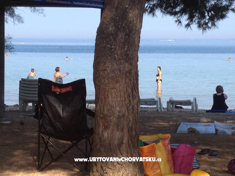 Dedic apartment***** – Ferienwohnung Petrcane, Kroatien – Foto 11