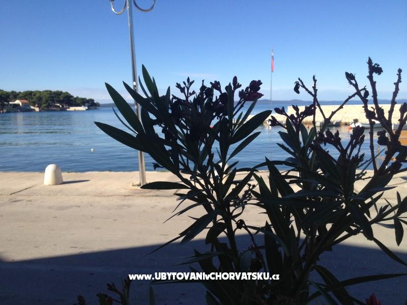 Dedic apartment***** – Ferienwohnung Petrcane, Kroatien – Foto 12