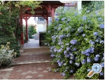 Appartements Ivan - Petrane Kroatien
