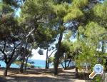 Appartements Ivan - Petrane Croatie