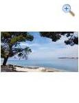 Appartements Ivan - Petrane Croatie