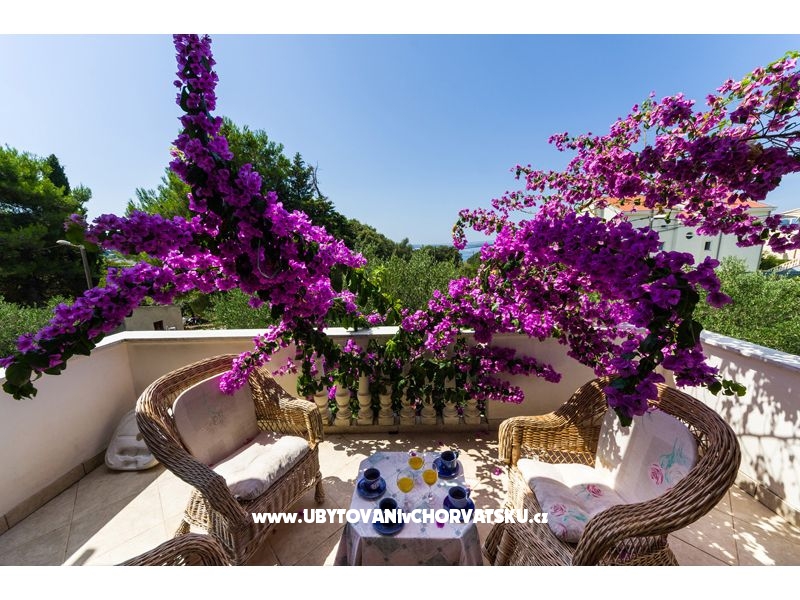 Appartements Ivanka – Ferienwohnung Petrcane, Kroatien – Foto 11