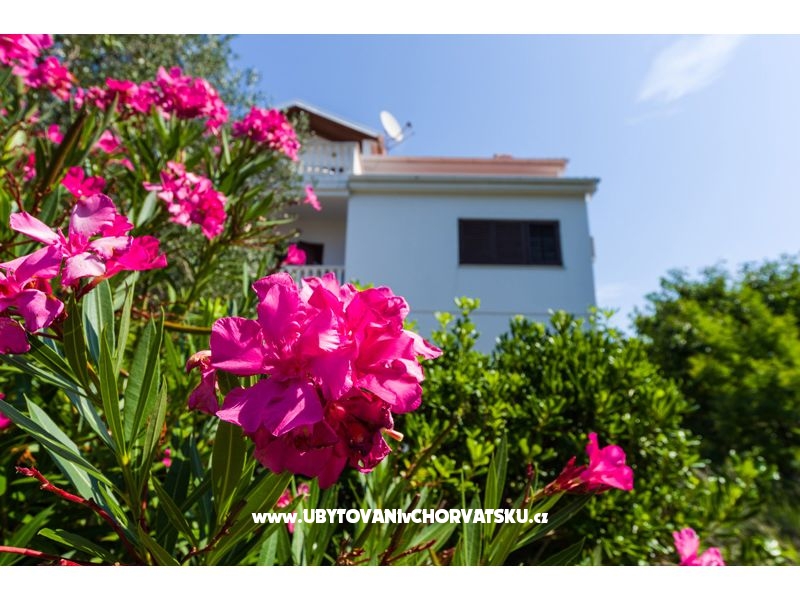 Appartements Ivanka – Ferienwohnung Petrcane, Kroatien – Foto 4