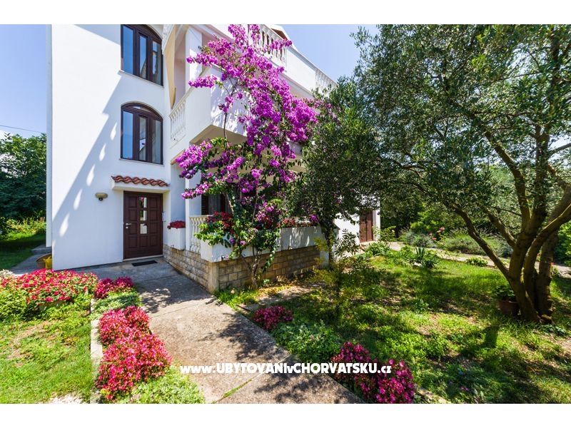 Appartements Ivanka – Ferienwohnung Petrcane, Kroatien – Foto 8