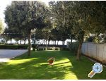 Appartements Neda - Petrane Kroatien
