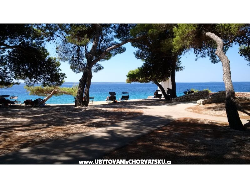 Appartements Niksa – Ferienwohnung Petrcane, Kroatien – Foto 17