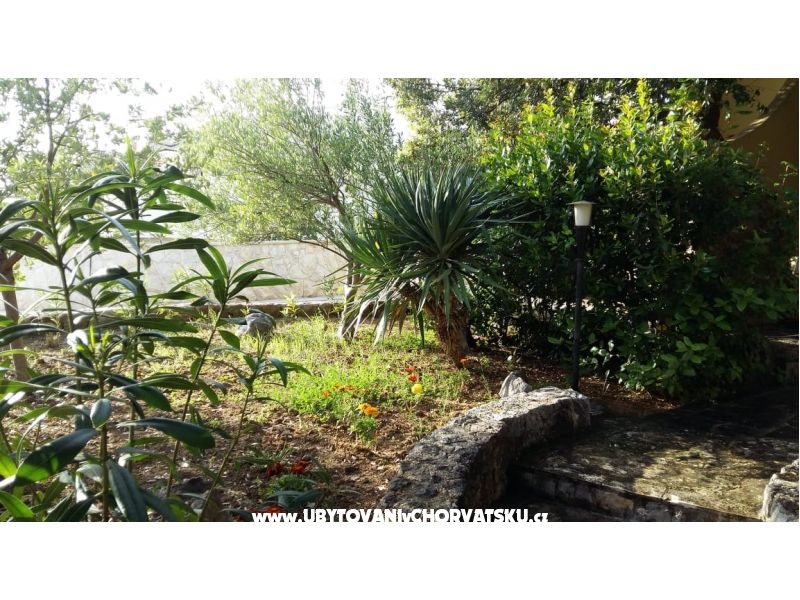 Ferienwohnungen Dani – Ferienwohnung Petrcane, Kroatien – Foto 11