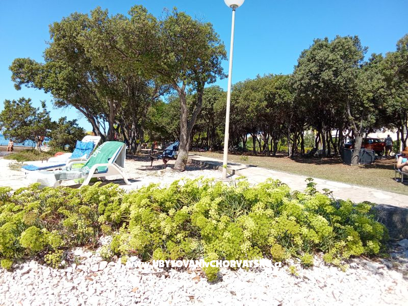 Apartmány Dani – ubytování Petrčane, Chorvatsko – foto 33