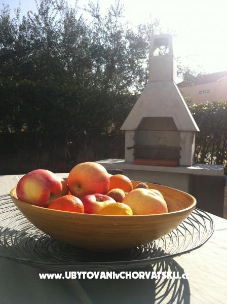 Ferienwohnungen 2a – Ferienwohnung Petrcane, Kroatien – Foto 1