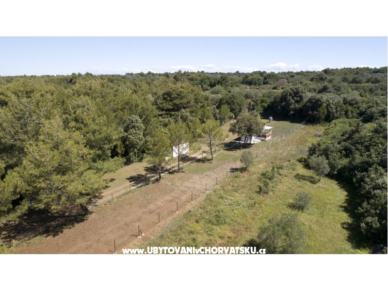 Mobile home Plat Kožino – Ferienwohnung Petrcane, Kroatien – Foto 11