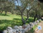 Vila Emila - Petrane Kroatien