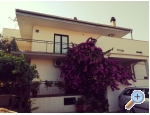 Apartamenty Danica - Pirovac Chorwacja