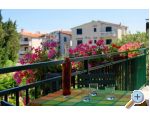 Appartements Danica - Pirovac Croatie