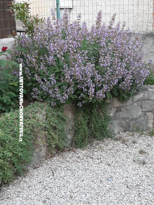 Apartmány Lana Pirovac – ubytování Pirovac, Chorvatsko – foto 26