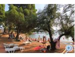 Villa Ana , one min walk to beach - Pirovac Kroatien