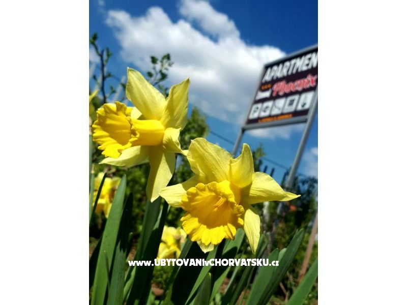 Appartement Phoenix No.12 – Ferienwohnung Plitvice, Kroatien – Foto 2