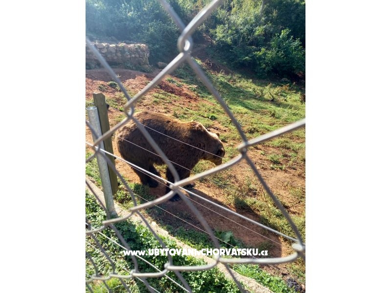 Ferienwohnungen Paradiso – Ferienwohnung Plitvice, Kroatien – Foto 11