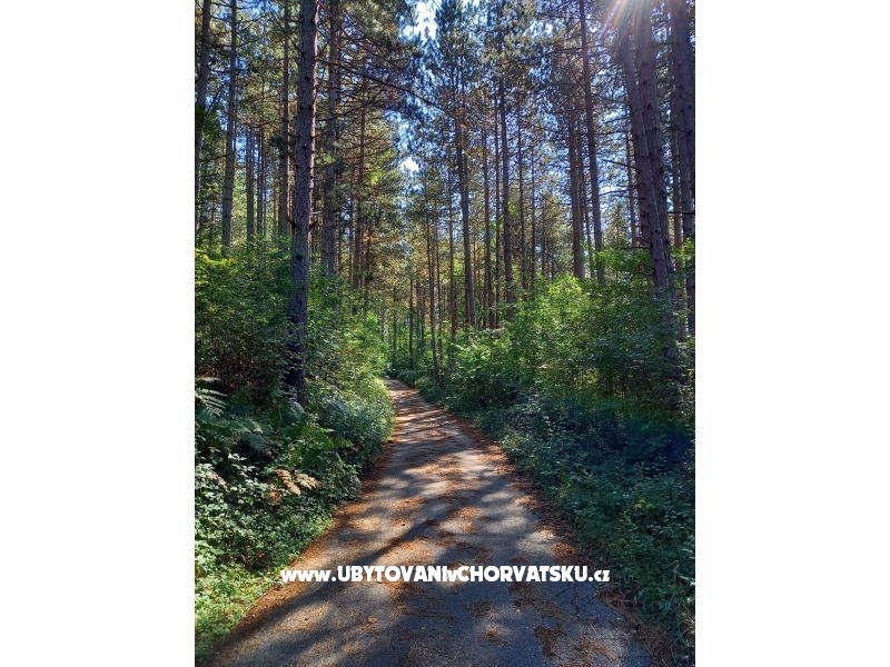 Ferienwohnungen Paradiso – Ferienwohnung Plitvice, Kroatien – Foto 15