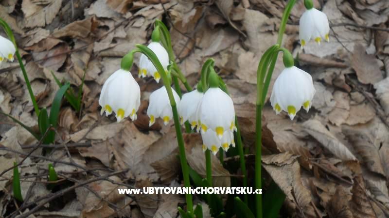 Ferienwohnungen Marija – Ferienwohnung Plitvice, Kroatien – Foto 14