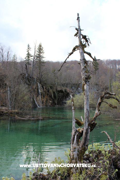 Ferienwohnungen Marija – Ferienwohnung Plitvice, Kroatien – Foto 6