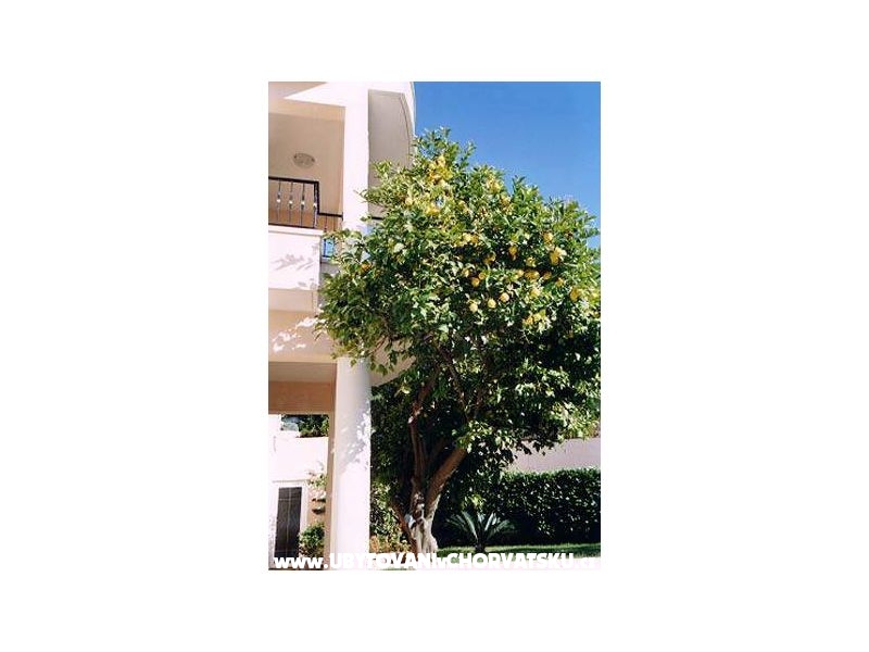 Villa Mozart – Ferienwohnung Podgora, Kroatien – Foto 17