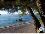 Apartma Arte - Podgora Hrvaka
