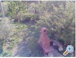 Apartment Sumi - Podgora Croatia