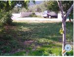 Apartment Sumi - Podgora Croatia