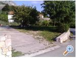 Apartment Sumi - Podgora Croatia