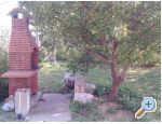 Apartment Sumi - Podgora Croatia