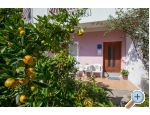 Apartma Olenka - Podgora Hrvaka